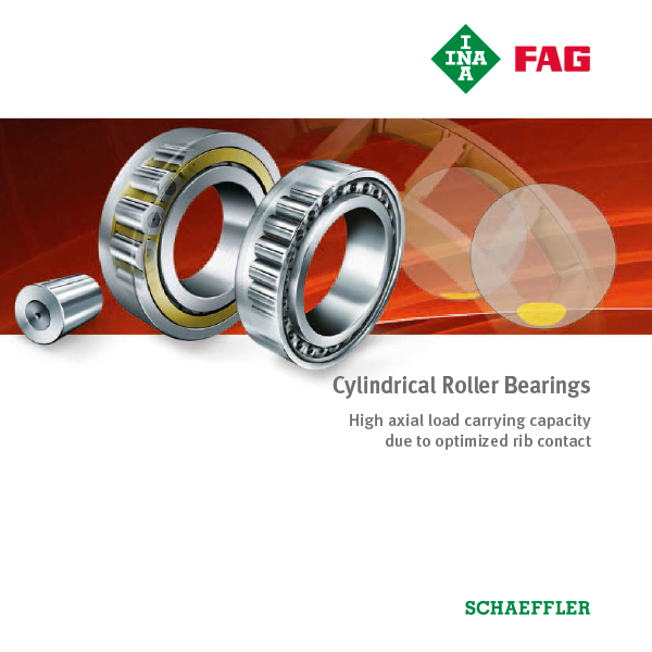 Cylindrical Roller Bearings Schaeffler Italia