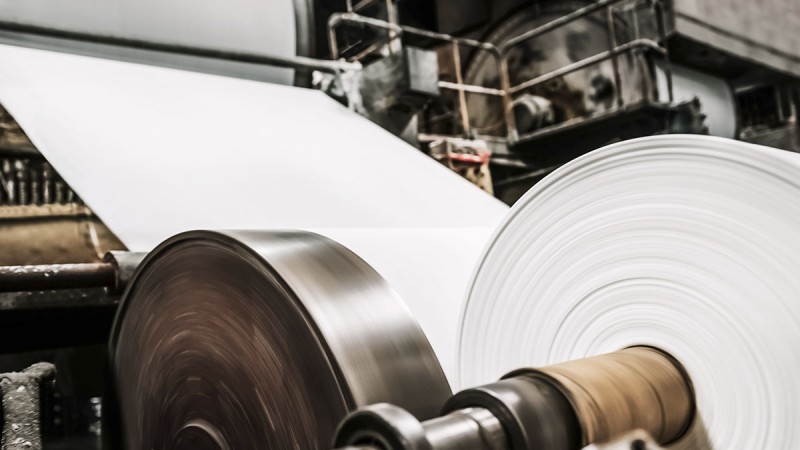 Soluzioni Schaeffler per il settore della cellulosa e della carta