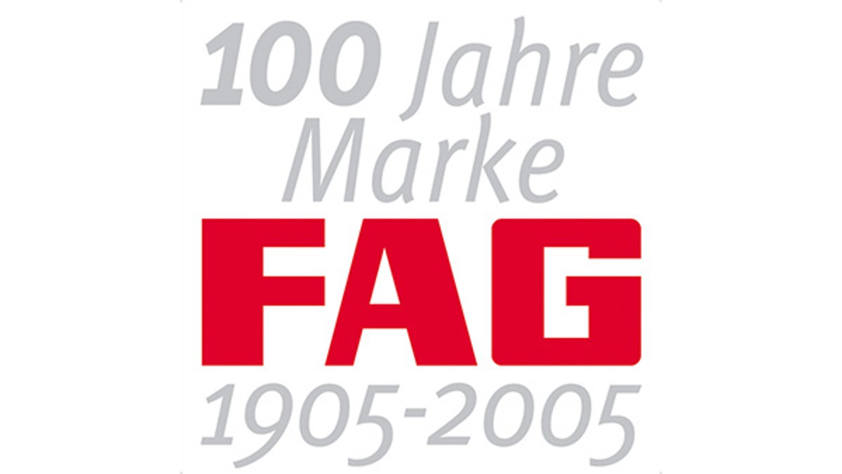 INA Italia S.r.l. incorpora FAG Italia S.p.A..