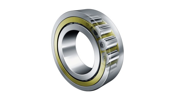 Cuscinetti radiali a rulli cilindrici FAG con gabbia nel nuovo design TB